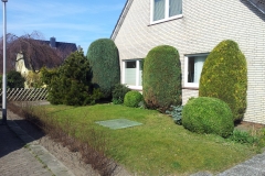 20150323_105550